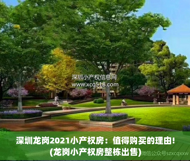 深圳龙岗2021小产权房：值得购买的理由!(龙岗小产权房整栋出售)
