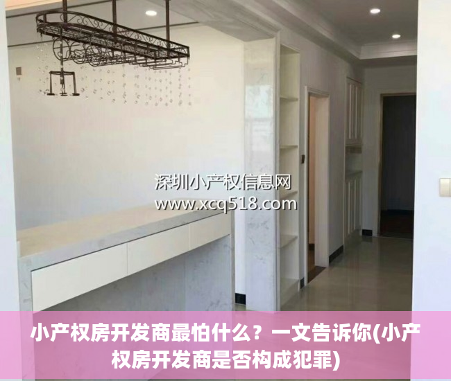 小产权房开发商最怕什么？一文告诉你(小产权房开发商是否构成犯罪)