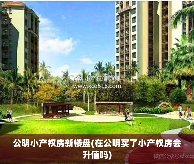 公明小产权房新楼盘(在公明买了小产权房会升值吗)