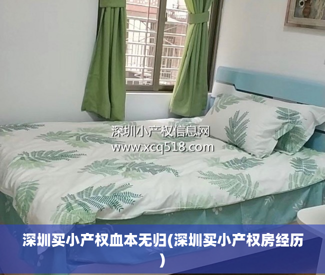 深圳买小产权血本无归(深圳买小产权房经历)