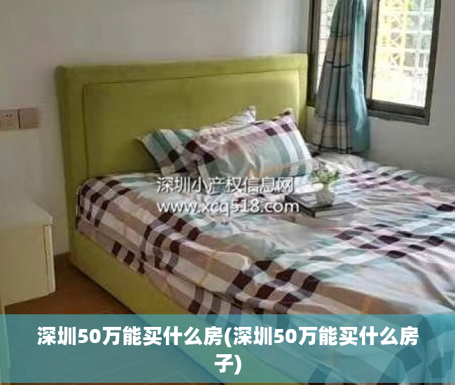 深圳50万能买什么房(深圳50万能买什么房子)