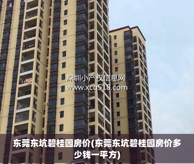 东莞东坑碧桂园房价(东莞东坑碧桂园房价多少钱一平方)