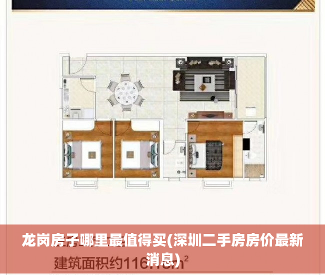 龙岗房子哪里最值得买(深圳二手房房价最新消息)
