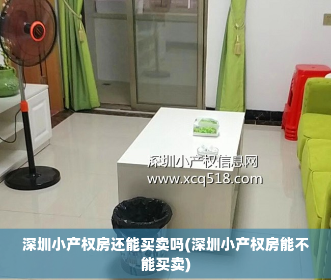深圳小产权房还能买卖吗(深圳小产权房能不能买卖)