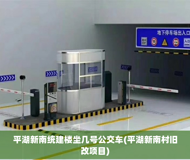 平湖新南统建楼坐几号公交车(平湖新南村旧改项目)