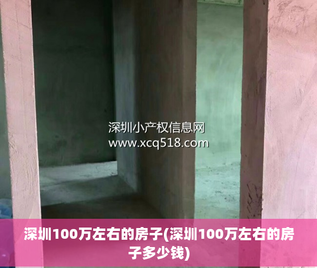 深圳100万左右的房子(深圳100万左右的房子多少钱)