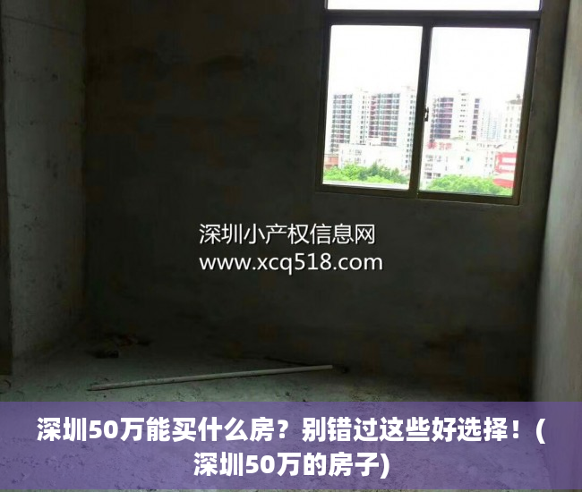 深圳50万能买什么房？别错过这些好选择！(深圳50万的房子)