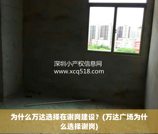为什么万达选择在谢岗建设？(万达广场为什么选择谢岗)