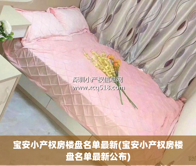 宝安小产权房楼盘名单最新(宝安小产权房楼盘名单最新公布)