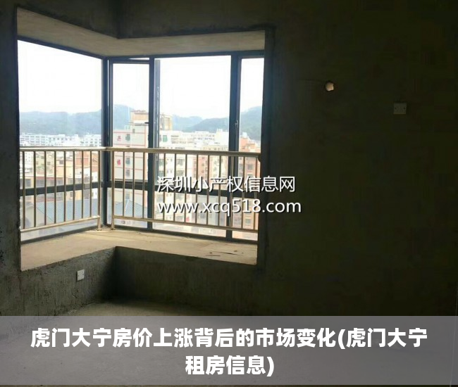 虎门大宁房价上涨背后的市场变化(虎门大宁租房信息)