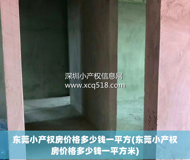 东莞小产权房价格多少钱一平方(东莞小产权房价格多少钱一平方米)