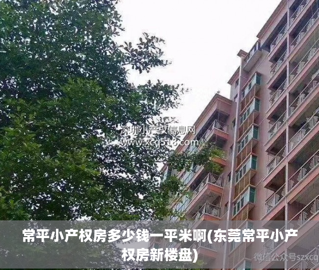 常平小产权房多少钱一平米啊(东莞常平小产权房新楼盘)