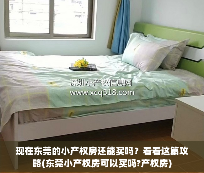 现在东莞的小产权房还能买吗？看看这篇攻略(东莞小产权房可以买吗?产权房)