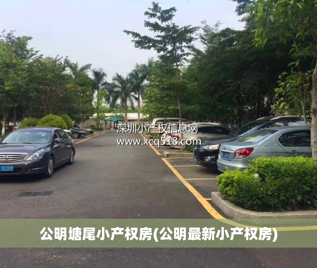 公明塘尾小产权房(公明最新小产权房)