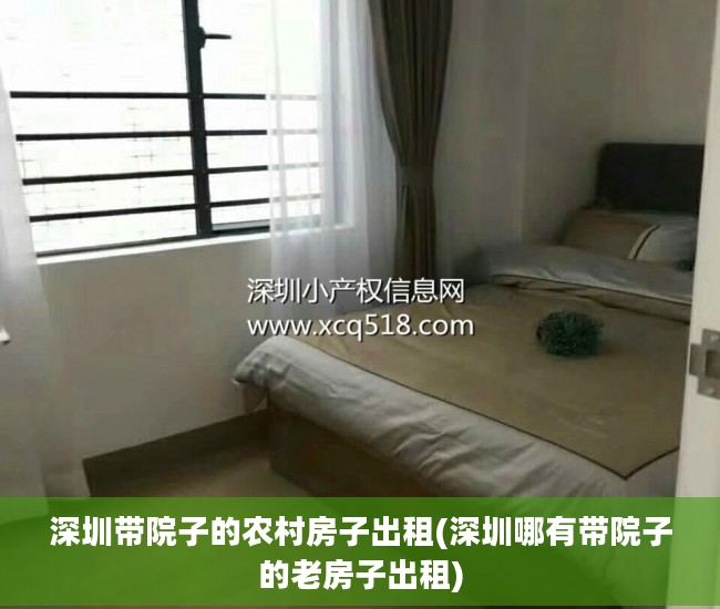 深圳带院子的农村房子出租(深圳哪有带院子的老房子出租)