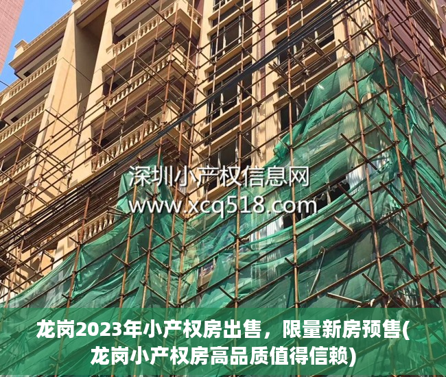 龙岗2023年小产权房出售，限量新房预售(龙岗小产权房高品质值得信赖)