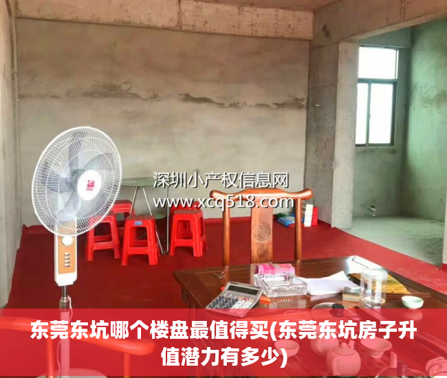 东莞东坑哪个楼盘最值得买(东莞东坑房子升值潜力有多少)