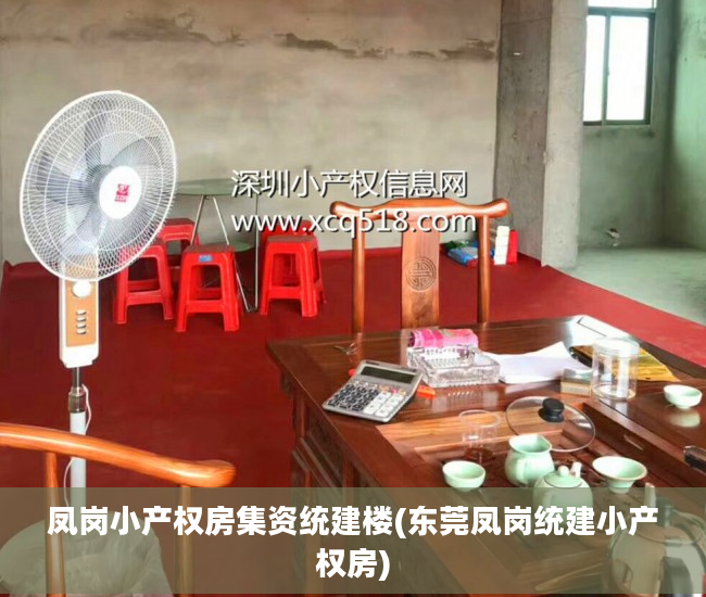 凤岗小产权房集资统建楼(东莞凤岗统建小产权房)