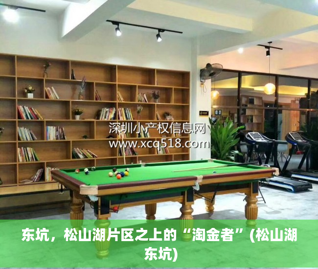 东坑，松山湖片区之上的“淘金者”(松山湖 东坑)