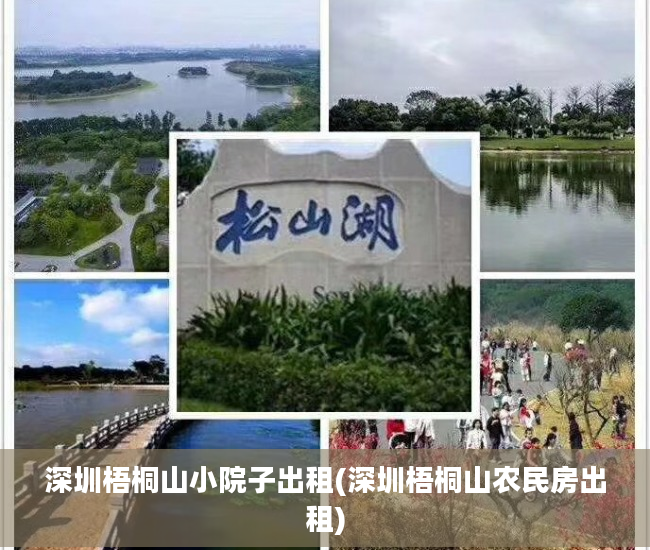 深圳梧桐山小院子出租(深圳梧桐山农民房出租)
