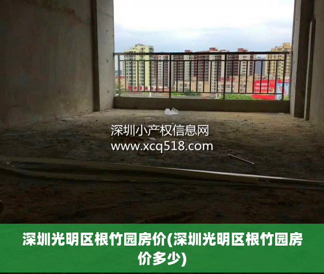深圳光明区根竹园房价(深圳光明区根竹园房价多少)