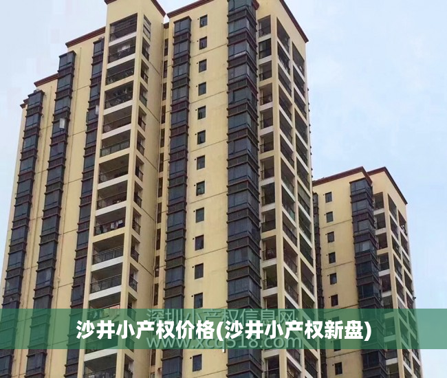 沙井小产权价格(沙井小产权新盘)