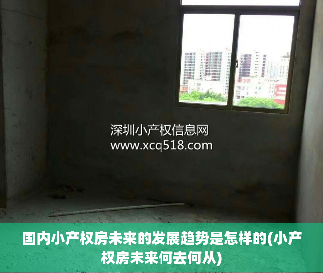 国内小产权房未来的发展趋势是怎样的(小产权房未来何去何从)