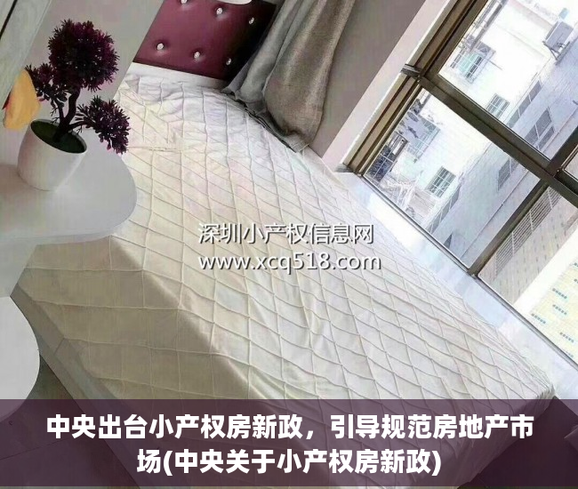 中央出台小产权房新政，引导规范房地产市场(中央关于小产权房新政)