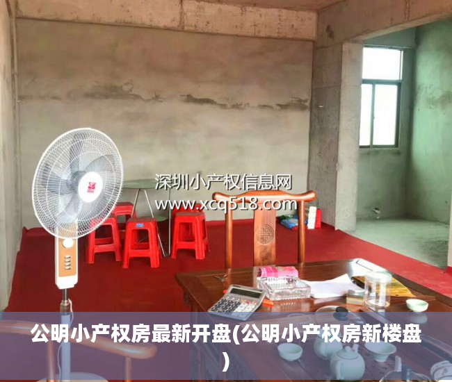 公明小产权房最新开盘(公明小产权房新楼盘)
