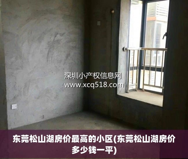 东莞松山湖房价最高的小区(东莞松山湖房价多少钱一平)