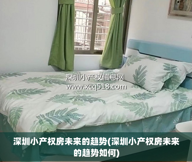 深圳小产权房未来的趋势(深圳小产权房未来的趋势如何)