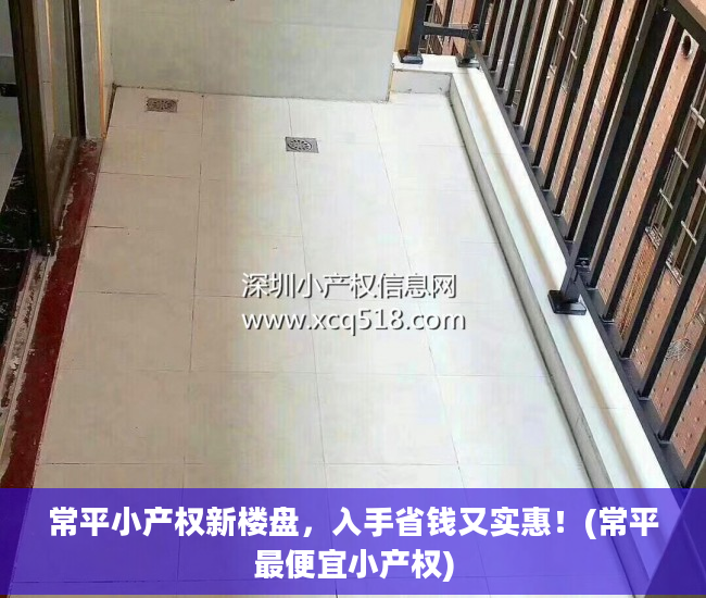 常平小产权新楼盘，入手省钱又实惠！(常平最便宜小产权)
