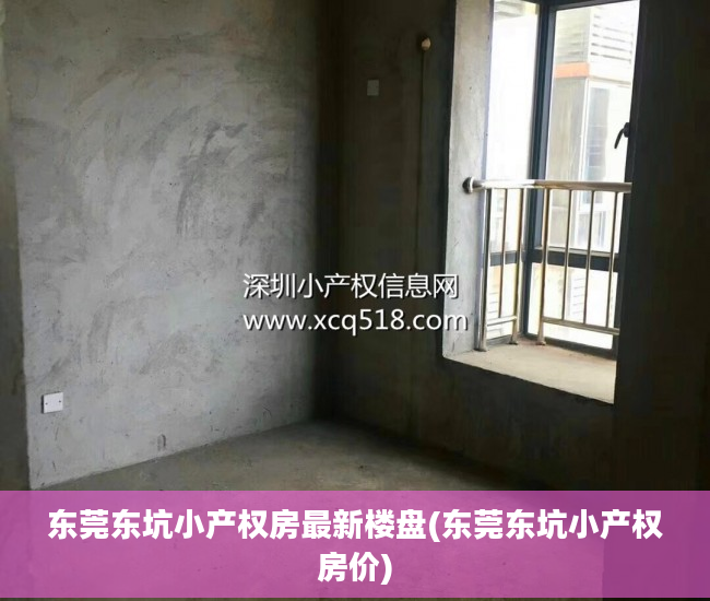 东莞东坑小产权房最新楼盘(东莞东坑小产权房价)