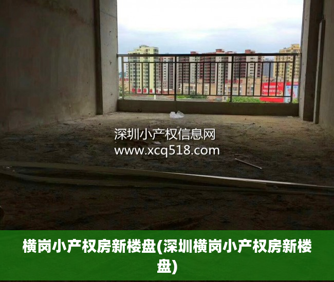 横岗小产权房新楼盘(深圳横岗小产权房新楼盘)