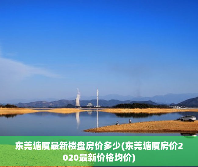 东莞塘厦最新楼盘房价多少(东莞塘厦房价2020最新价格均价)