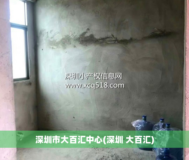 深圳市大百汇中心(深圳 大百汇)