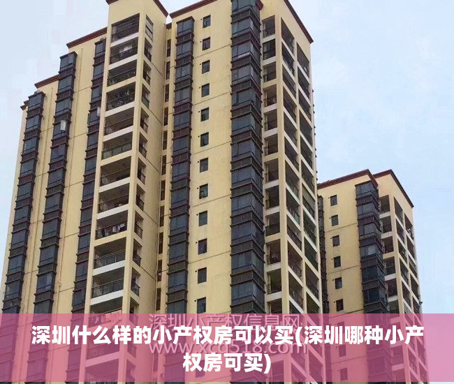 深圳什么样的小产权房可以买(深圳哪种小产权房可买) 深圳什么样的小产权房可以买(深圳哪种小产权房可买)