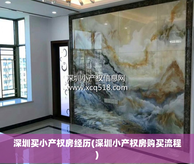 深圳买小产权房经历(深圳小产权房购买流程)