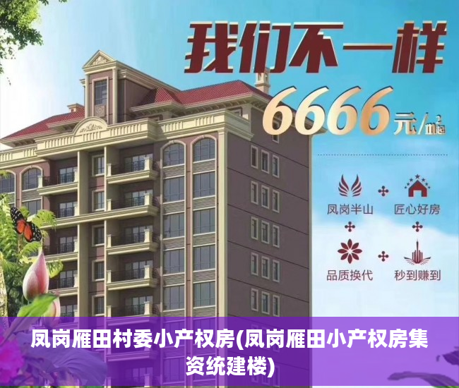 凤岗雁田村委小产权房(凤岗雁田小产权房集资统建楼)