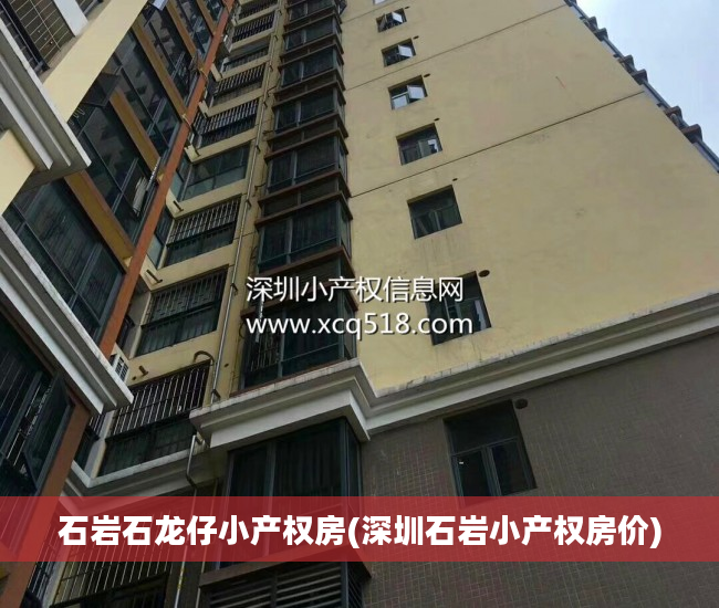 石岩石龙仔小产权房(深圳石岩小产权房价)
