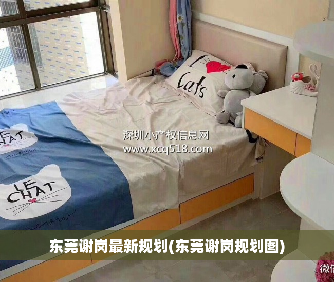 东莞谢岗最新规划(东莞谢岗规划图)