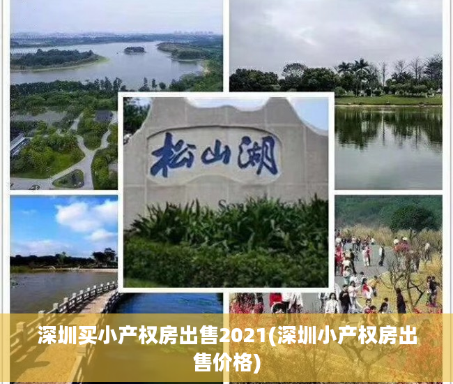 深圳买小产权房出售2021(深圳小产权房出售价格)