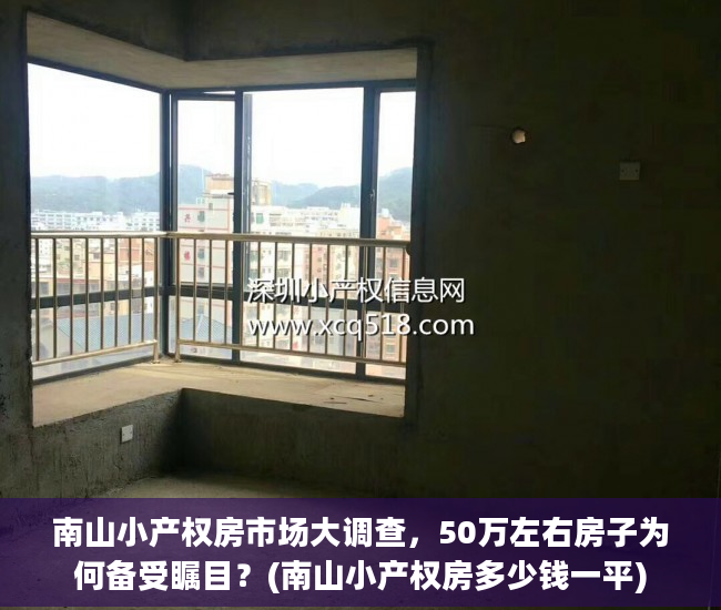 南山小产权房市场大调查，50万左右房子为何备受瞩目？(南山小产权房多少钱一平)