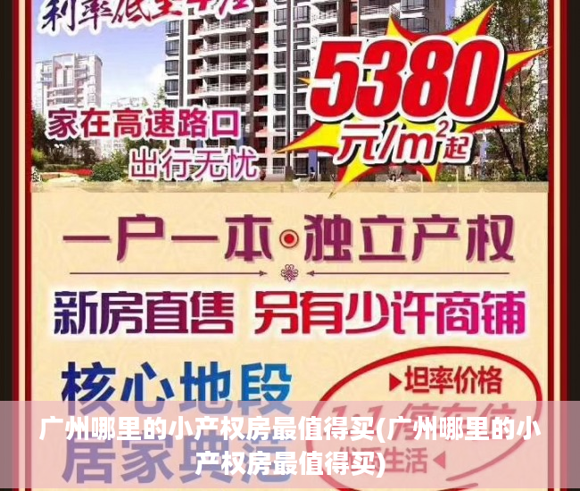 广州哪里的小产权房最值得买(广州哪里的小产权房最值得买)