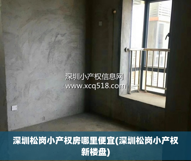 深圳松岗小产权房哪里便宜(深圳松岗小产权新楼盘)