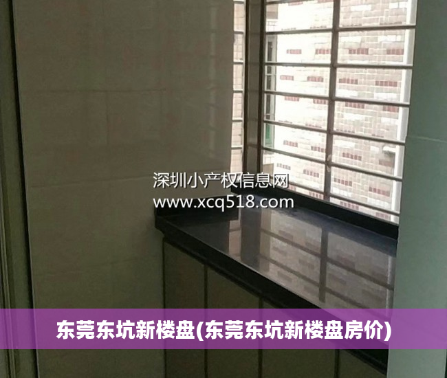 东莞东坑新楼盘(东莞东坑新楼盘房价)