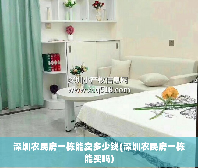 深圳农民房一栋能卖多少钱(深圳农民房一栋能买吗)