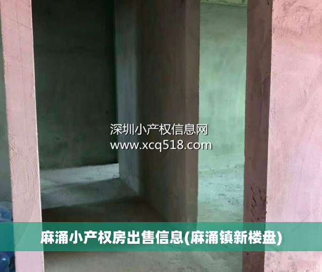 麻涌小产权房出售信息(麻涌镇新楼盘)