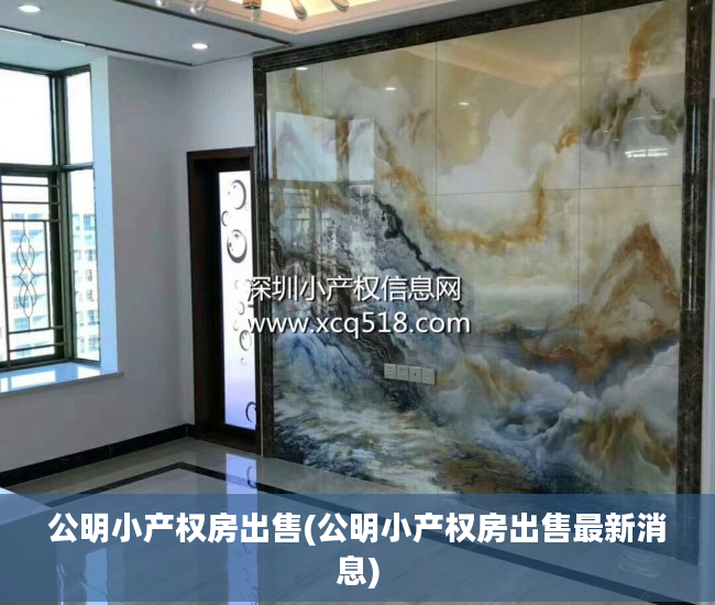 公明小产权房出售(公明小产权房出售最新消息)