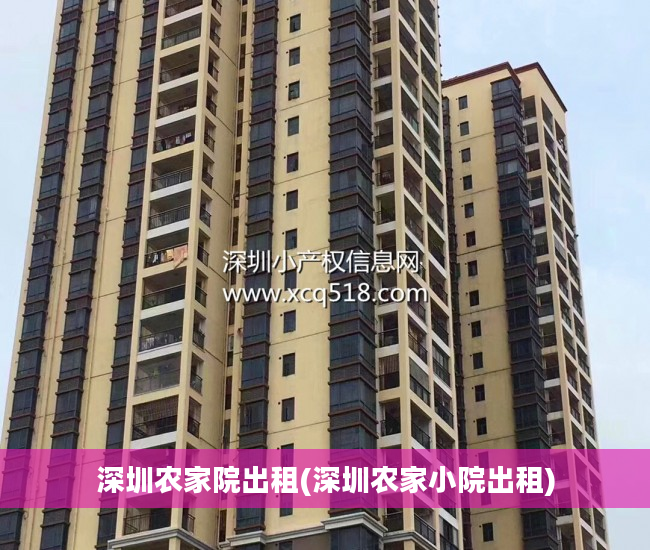 深圳农家院出租(深圳农家小院出租)